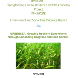 ESDDR_SEAGRASS