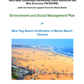 ESMP_MARINA_BEACH